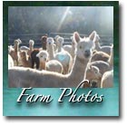 Farm Photos